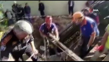 Bursa'da dana kurtarma operasyonu