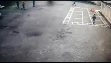 Rusya'da cezaevine uyuşturucu taşıyan kurye kedi gözaltına alındı