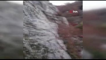 Bursa'da nefes kesen köpek kurtarma operasyonu