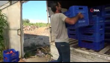 Antalya'da çiftçiye şok yaşatan ceza