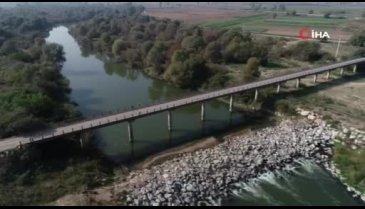 Bursa'da çevre felaketi! Binlerce balık ölü bulundu