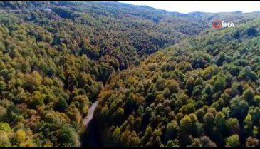 Bursa Uludağ'da renk cümbüşü