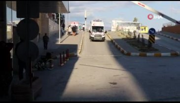 Ağaçtan düşen 3 çocuk babası hayatını kaybetti