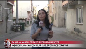 Bursa'da Başaran Mahallesi'ne fare baskını! (ÖZEL HABER)