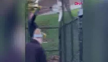 Ağa takılan şahini polis kurtardı