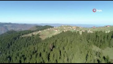 Karadeniz yaylalarında sonbahar