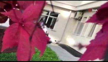 Kayseri'de iç acıtan görüntü