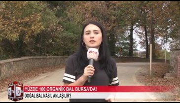 Bursa Kestel'de organik bal üretiyor! (ÖZEL HABER)