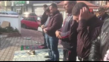 Bursa'da cami cemaatinin kedi sevgisi takdir topladı