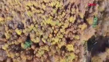 Bursa Uludağ'da sonbaharın son demleri