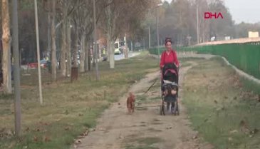 Bursa'da felçli köpeğini bebek arabasıyla gezdiriyor