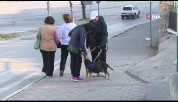 Bursa'da kanserli köpek hem sağlığına hem yuvaya kavuştu