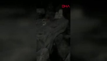 Balık tutan vatandaşlara su samuru sürprizi