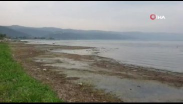 Kuraklık sebebiyle Bursa İznik Gölü'nde adacıklar oluştu
