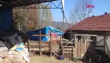 Bursa'da devletten aldığı destekle çiftlik kurdu