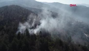 Bursa'daki orman yangınında 10 dönümlük alan yandı!