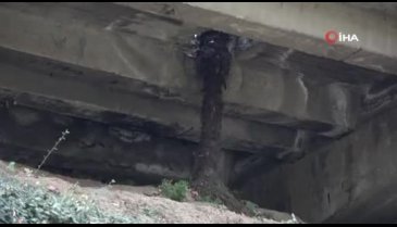 Bursa'da ağaçlar zarar görmesin diye beton köprüyü deldiler
