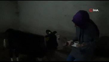 Bursa'da hayvanlarına kahve ikram ediyor