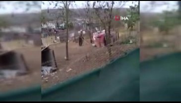 Köpeğini kalasla dövdü!