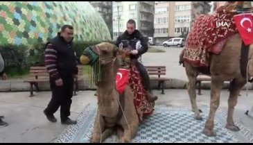 Bursa sokaklarına deve gezintisi!