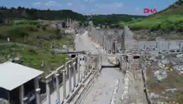 Müzeyi gezen çocuğu ısıran kazlar sürgün edildi