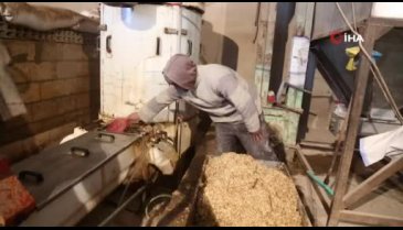 Un fabrikaları ve fırınlar çalıştırılmaya başladı