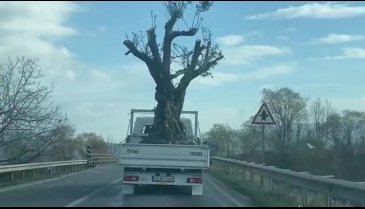 Bursa'da trafikte şaşırtan görüntü!