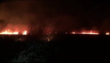Bursa İznik'te korkutan yangın!