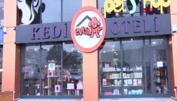 Bursa'da 5 yıldızlı kedi ve köpek oteli, yılbaşı öncesi doldu