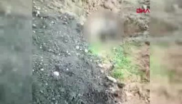 Sosyal medyayı ayağa kaldıran görüntüye inceleme
