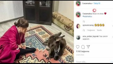 Sezen Aksu sıpa sahiplendi