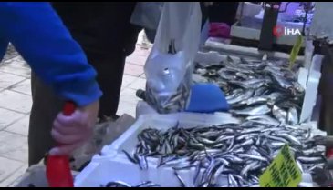Hamsinin kulağına kar suyu kaçtı