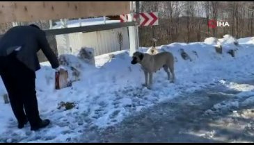 Bursa Uludağ'daki kar ve soğuk onları vurdu