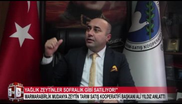 Bursa'dan kritik zeytin uyarısı! (ÖZEL HABER)