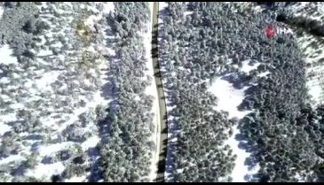 Bursa Uludağ'da kartpostallık manzaralar