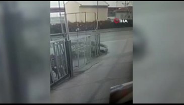 Başıboş köpeklerden kaçıyordu, otomobilin altında kaldı!