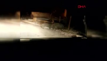 Bursa'da yaban domuzları, mahalleye indi