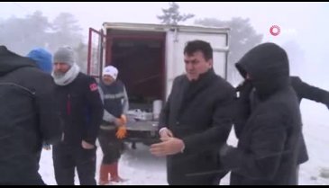 Bursa Uludağ'daki hayvanlar kışı tok geçirecek