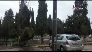 Bursa Karacabey'de fırtına ağaçları devirdi