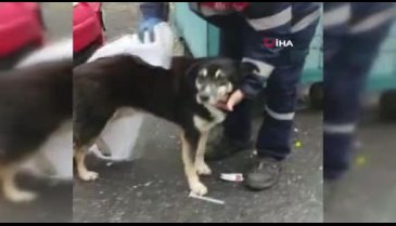 Temizlik işçisinden içleri ısıtan insanlık dersi