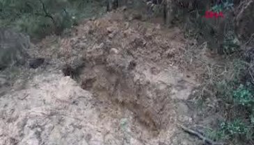 Ormanda battaniyeye sarılı kadın cesedi bulundu