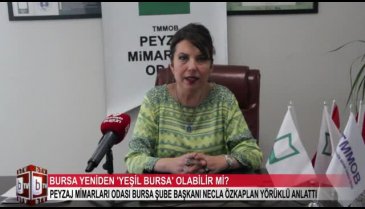 Yeniden Yeşil Bursa mümkün mü? (ÖZEL HABER)