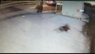 Genç kız metrelerce sürüklenerek hayatını kaybetti!