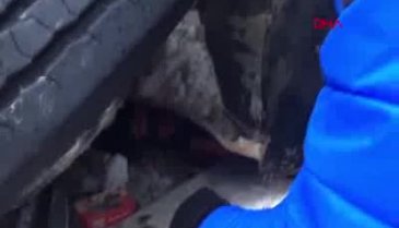 Yolcu otobüsü devrildi!