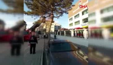Ağaçtaki kedi yürüyen çocuğun üzerine atladı!