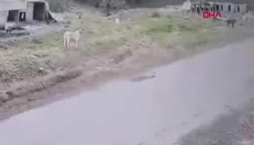 O belediye çalışanı işten çıkarıldı