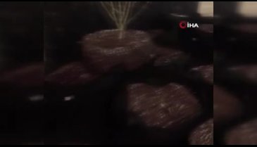 Hırsız girdi diye polis çağırdılar, ev Hint keneviri tarlası çıktı