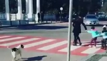 Karşıdan karşıya geçen çocukları koruyan köpek