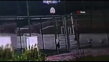 Köpeği dakikalarca tekmeledi!