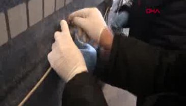 Ülke tarihinde rekor! 2 ton 70 kg esrar ele geçirildi